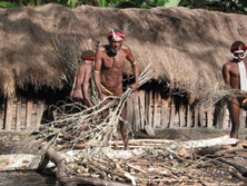 Neuguinea, West-Papua: Besuch in der Steinzeit - Feuervorbereitungen bei den Dani