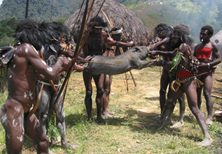 Neuguinea, West-Papua: Besuch in der Steinzeit - Schweinefest bei den Dani